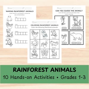 Rainforest Animals Activities | 10 Hands-On Worksheets for Grades 1-3 | Habitat, Mazes, Coloring & Fine Motor Science Printables