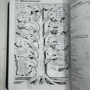 K&ouml;nnte beinhalten: Schwarz-Wei&szlig;-Illustration eines Baumes mit nummerierten Punkten und spanischem Text aus einem Buch. Der Titel lautet "4319 - &Aacute;rbol de la Vida de Pablo". Die Seite ist ge&ouml;ffnet, Text ist auf der rechten Seite sichtbar.