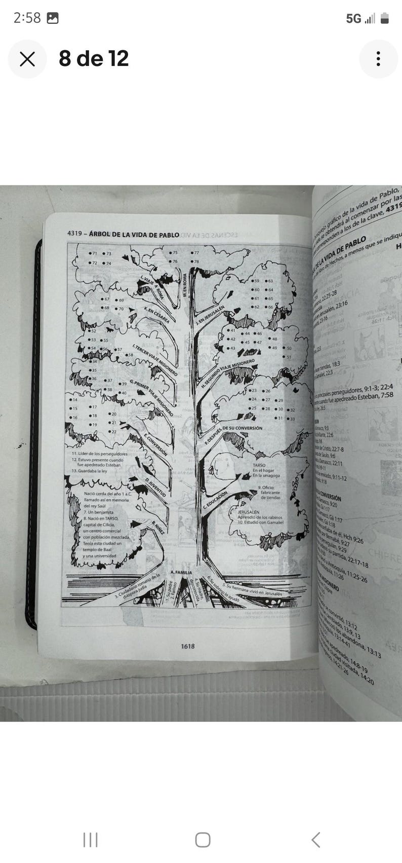 K&ouml;nnte beinhalten: Schwarz-Wei&szlig;-Illustration eines Baumes mit nummerierten Punkten und spanischem Text aus einem Buch. Der Titel lautet "4319 - &Aacute;rbol de la Vida de Pablo". Die Seite ist ge&ouml;ffnet, Text ist auf der rechten Seite sichtbar.