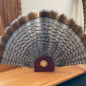 Grouse Tail Display Stand