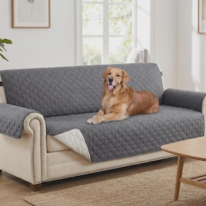 May include: A gray quilted sofa cover with a diamond pattern is draped over a cream-colored sofa. A golden retriever dog is lying on the sofa cover. The sofa is in a living room setting with a wooden coffee table.