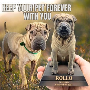 Puede incluir: Un perro Shar Pei está junto a una escultura detallada de un Shar Pei. La escultura está sobre una base negra con el nombre "Rollo" y la fecha de nacimiento. La imagen incluye el texto "KEEP YOUR PET FOREVER WITH YOU".
