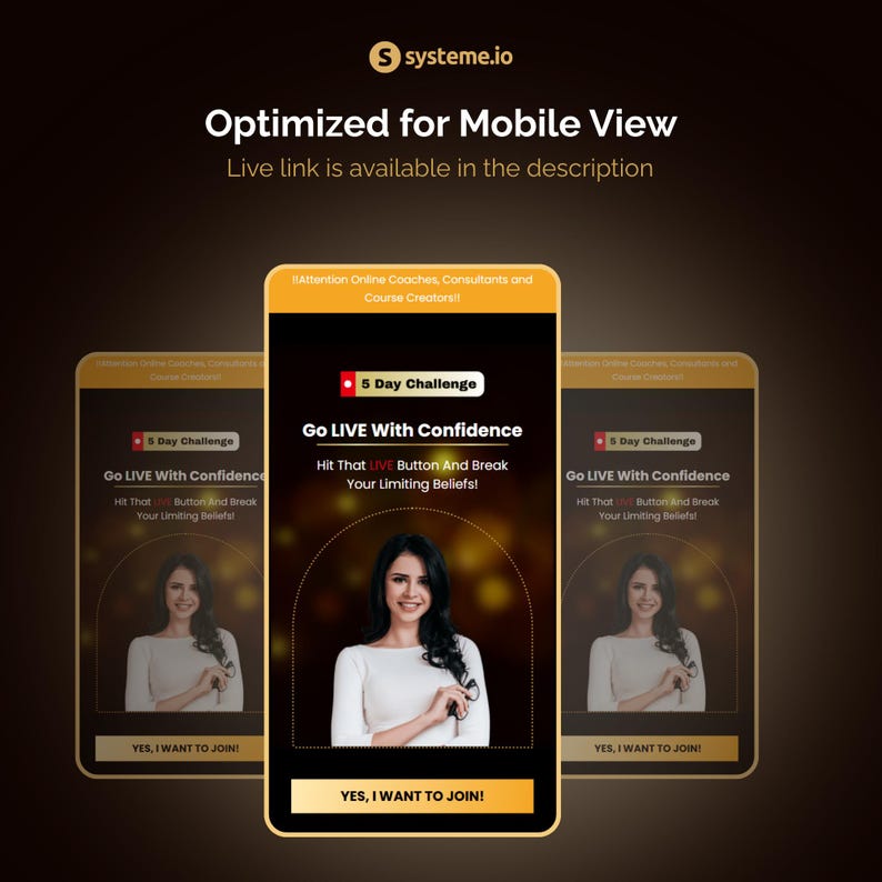Systeme.io Challenge Funnel Template | Lead Magnet | Sales Funnel For Coaches (Sell VIP Pass) image 9