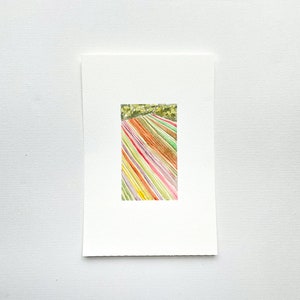 Tulpenfelder Aquarell Landschaft ORIGINAL – Blumen von Prince Edward Island, Kanada – kleines Gemälde Wanddekoration mehrfarbig grün rosa