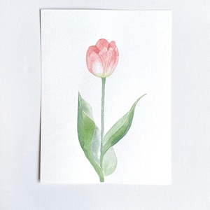 Tulipano rosa acquerello ORIGINALE - fiore delicato minimalista rosso verde - decorazione murale classica per ragazza con pittura floreale unica