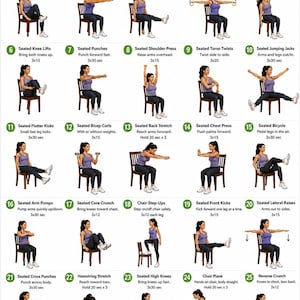 May include: A 30-day chair fitness challenge guide with 30 exercises, each demonstrated by a person. The exercises include arm circles, leg extensions, and core crunches. The guide is designed to be done daily.