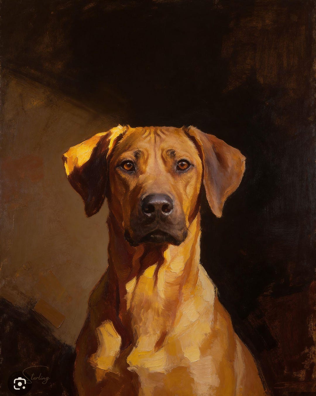 Rhodesian Ridgeback Art Base Rhodesian Ridgeback Oil Portrait From Photo, Custom Dog Memorial Canvas ...