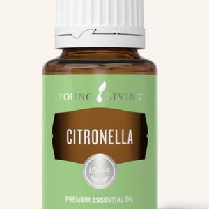 Puede incluir: Una botella de vidrio marrón de aceite esencial de Citronela con tapa blanca. La etiqueta es verde claro con las palabras "CITRONELLA" en letras marrones grandes. La botella contiene 15 ml de aceite.