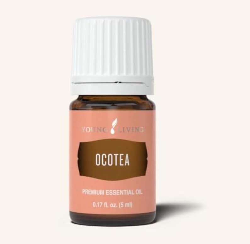 Pu&ograve; includere: Una piccola bottiglia di vetro marrone di olio essenziale premium Young Living Ocotea. La bottiglia ha un tappo bianco e un'etichetta color pesca con la scritta "OCOTEA" in un rettangolo marrone. L'etichetta include anche la scritta "PREMIUM ESSENTIAL OIL" e "5 ml".