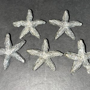 May include: Five silver-colored starfish with textured surfaces are arranged on a dark background. Each starfish has five points, and they vary slightly in size and orientation. The overall aesthetic is reminiscent of coastal decor.
