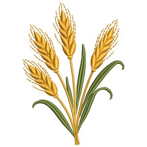 May include: An embroidery design featuring four stalks of golden yellow wheat with detailed grain textures, accompanied by slender, dark green leaves. The stalks are arranged in a fan-like pattern, with stems converging at the base of the design.