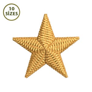 Op de afbeelding: Een goudkleurige ster met een getextureerde, geweven uitstraling. De ster heeft vijf punten en staat tegen een witte achtergrond. Een cirkelvormige afbeelding in de linkerbovenhoek leest "10 MATEN".