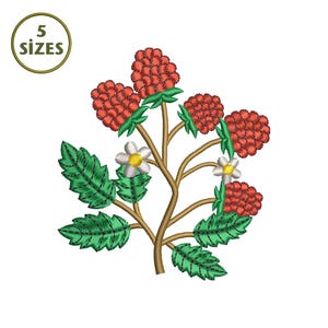 Puede incluir: Diseño bordado de una planta de frambuesas con bayas rojas, hojas verdes y pequeñas flores blancas. El diseño incluye el texto "5 TAMAÑOS" en un marco circular, adecuado para varios proyectos de manualidades.