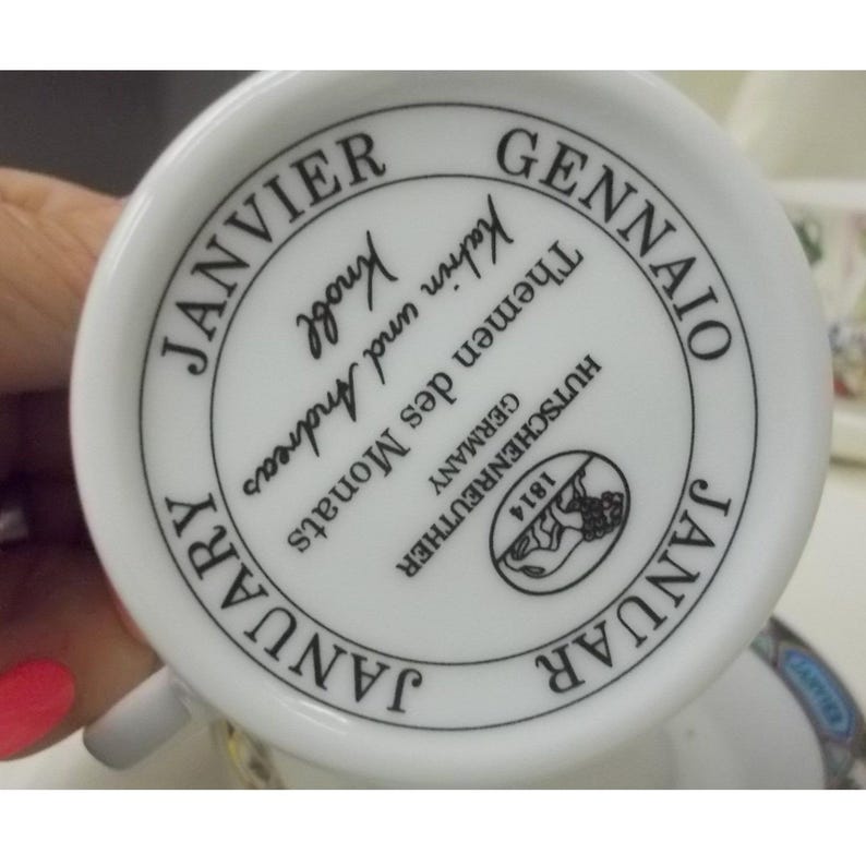 Hutschenreuther January Themen des Monats Espresso Cup Saucer Set Penguins image 5