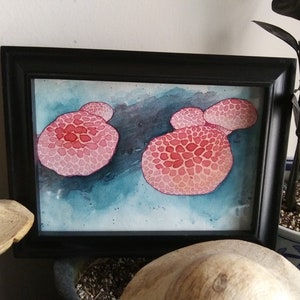 Pink Rhodotus Mushrooms Original Abstract Watercolor Painting on Paper UNFRAMED Unique Nature Illustration Mycology Gift Wall Art Decor image 1