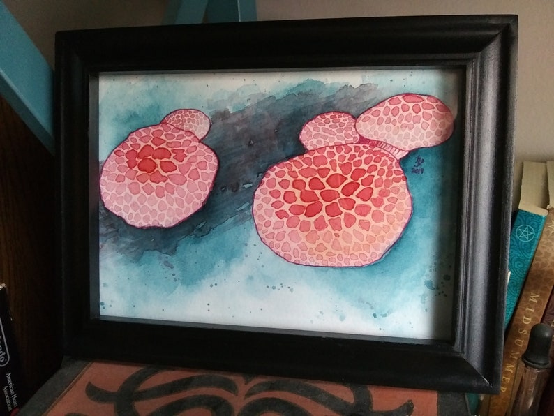 Pink Rhodotus Mushrooms Original Abstract Watercolor Painting on Paper UNFRAMED Unique Nature Illustration Mycology Gift Wall Art Decor image 3