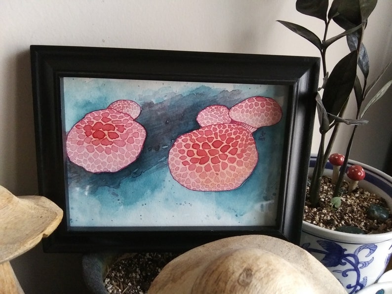 Pink Rhodotus Mushrooms Original Abstract Watercolor Painting on Paper UNFRAMED Unique Nature Illustration Mycology Gift Wall Art Decor image 1