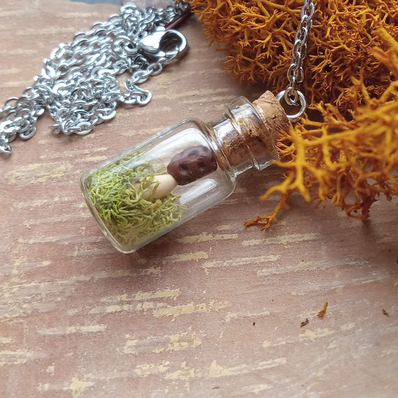 Morel Mushroom in Spring Green Moss Tiny Terrarium Bottle Necklace Whimsical Morchella Woodland Fantasy Cottagecore Fairy Tale Gift image 2