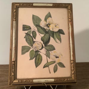 May include: A rectangular picture frame with a distressed gold finish and decorative carved edges. Inside the frame is a botanical illustration featuring white flowers with yellow centers and green leaves on a light cream-colored background.