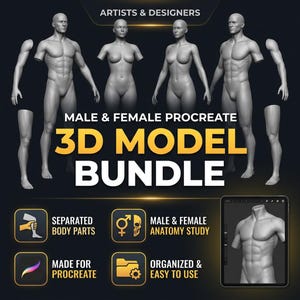 iPad Männlich Weiblich Procreate 3D Model Bundle | Anatomie Teile, Tattoo Skizze (Digitaler Download)