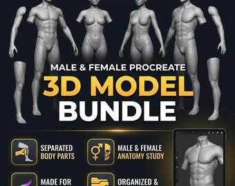 iPad Male Female Procreate 3D Model Bundle | Anatomy Parts, Tattoo Sketch (Digital Download)