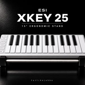 Esi Xkey 25 Stand | Studio Controller Holder | Ergonomic Desktop Riser | Music Production
