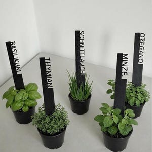 Puede incluir: Se muestran cinco pequeñas macetas de hierbas, incluyendo albahaca, tomillo, cebollino, menta y orégano. Cada maceta tiene una etiqueta negra con el nombre de la hierba. Las plantas están en macetas negras.