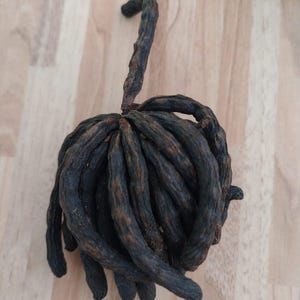 Pode incluir: Um cacho de vagens de sementes secas, alongadas e de cor castanho-escura, dispostas numa forma esférica. As vagens têm uma superfície enrugada e texturada, unidas num ponto central, com uma única vagem a estender-se para cima do conjunto.
