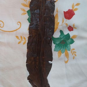 Fava Aridan , Aridan Seed , Yoruba Traditional Item , African Herbal Product , Traditional Yoruba Ingredient , Ifa
