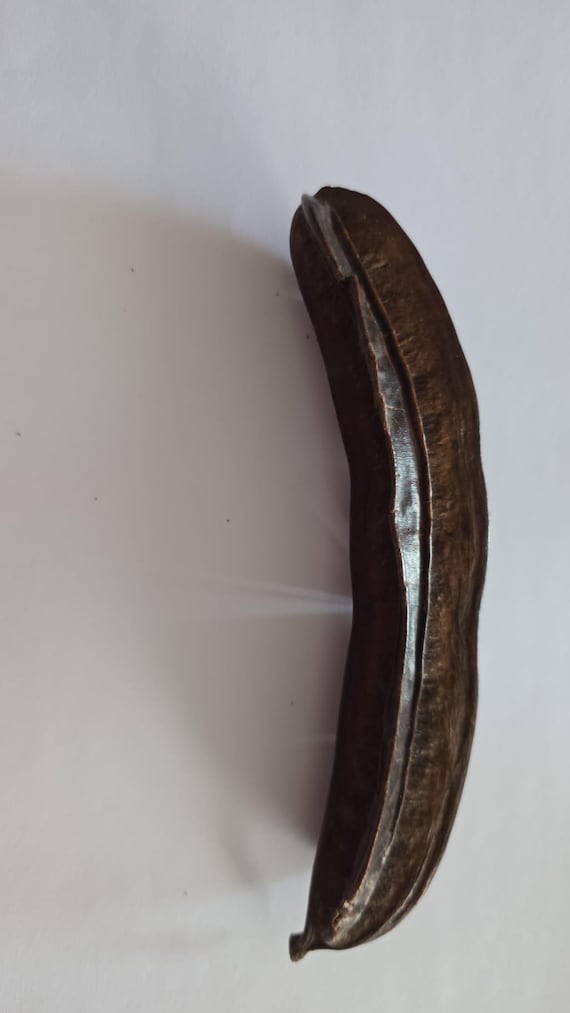 Fava Aridan ( 1 unidade )