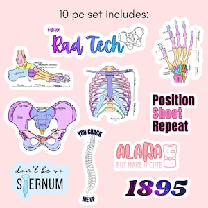 May include: A set of ten stickers with a pink background. The stickers feature anatomical illustrations of the human body, including bones and the rib cage, and text such as "Rad Tech", "Position Shoot Repeat", and "ALARA but make it cute".