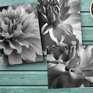 Pequenas estampas botânicas, conjunto pensando em você, presente para anfitriã, kit de amigo por correspondência, flores em plena floração, cartões de saudades, presentes de arte com flores da primavera