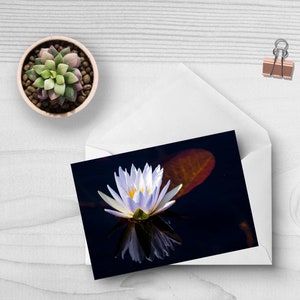 Listo para enviar arte de pared de la lirio acuático, juego de escritura de cartas, tarjeta de flores africana, tarjeta de la flor, tarjeta de nota en blanco, tarjeta de nota y sobre