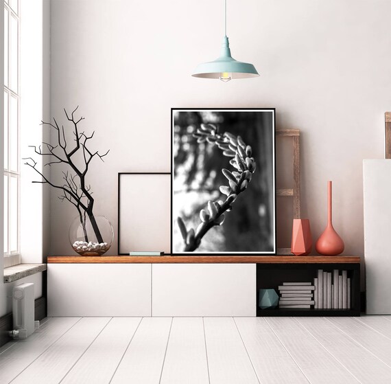 Fantail Willow Art Willow Wisp Print Black And White Etsy