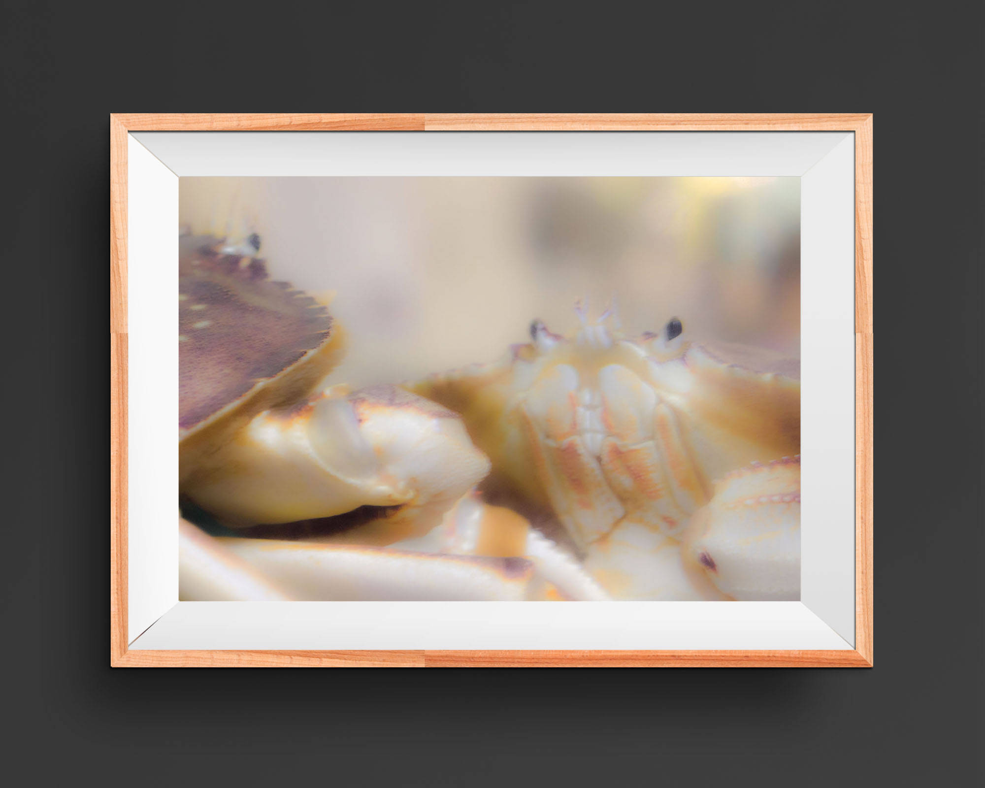 Decoración de cangrejo regalos de cangrejo arte de cangrejo | Etsy