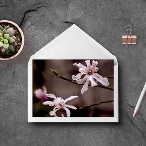 Listo para enviar tarjeta de la magnolia rosa, tarjeta de agradecimiento, tarjeta de arte de primavera rosa, tarjeta en blanco con sobre, tarjeta botánica, papelería de lujo