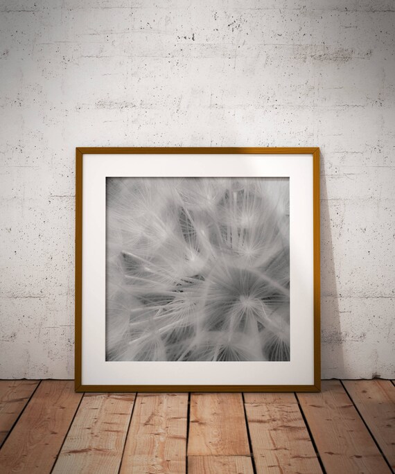 Dandelion Dandelion Wall Art Botanical Print Botanical Wall Etsy