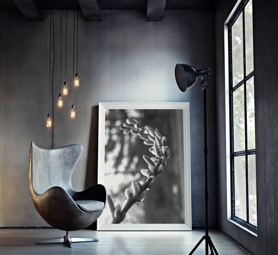 Fantail Willow Art Willow Wisp Print Black And White Etsy