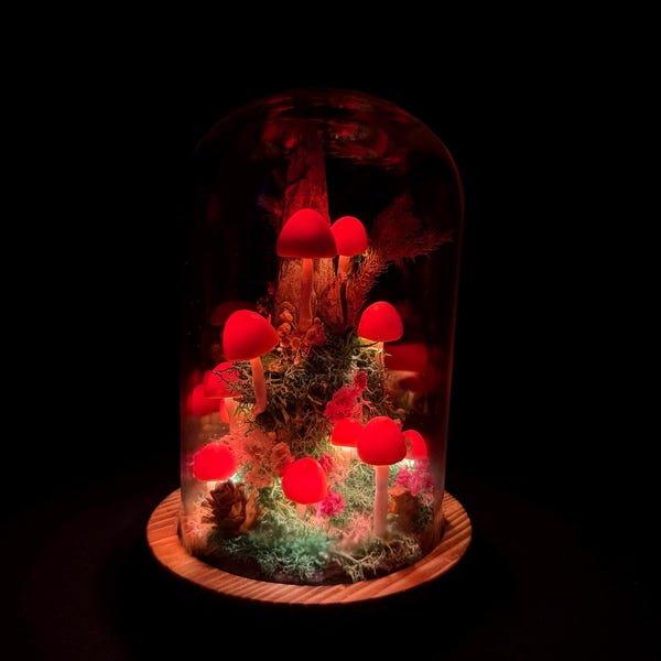 Handcrafted Warm Red-Orange Mushroom Lamp with Glowing Light Bubbles, Ambient Night Light For Bedroom, Living Room Cottage