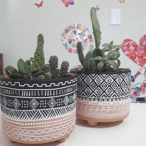 Puede incluir: Dos macetas de cerámica decorativas con cactus y suculentas. Las macetas tienen un patrón geométrico en blanco y negro sobre una base de terracota. Las plantas incluyen varios tipos de cactus y suculentas.
