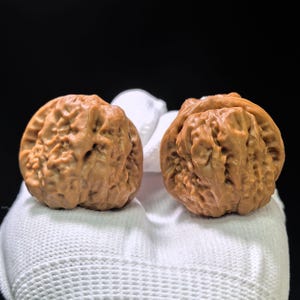 May include: Two whole walnuts with light brown, deeply textured, and wrinkled shells. The shells exhibit a complex, irregular surface pattern with deep ridges and crevices characteristic of natural walnut husks, presented against a dark background.