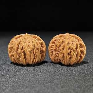 May include: Two brown, intricately carved walnut shells. The shells have a textured, wrinkled surface, and are displayed against a dark background. The walnuts are a natural, earthy tone, and appear to be decorative or collectible items.