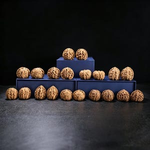 May include: A collection of intricately carved walnuts, displayed on blue platforms against a dark background. The walnuts vary in shape and design, showcasing detailed craftsmanship. The arrangement highlights the natural textures and forms of the nuts.