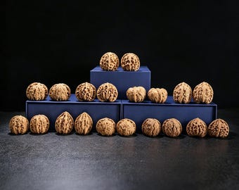 Mystery Wenwan Walnut Blind Box [Vol. 2] - 10 Curated Pairs, 1 Rare Hidden "Apple Garden" Collector Pair!  Stress Relief, Zen Walnut