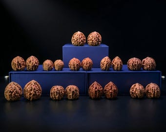 Wenwan Walnut Mystery Box - 10 Curated Pairs, 1 Rare Hidden "MSHT" Giant Pair! Stress Relief Collectibles, The Patina Project