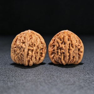 May include: Two whole walnuts with a light brown, deeply textured, and wrinkled shell surface. Each nut features a distinct, symmetrical shape with a pointed top and a complex, rugged exterior pattern that highlights the natural organic form.