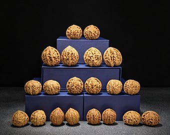 Wenwan Walnut Mystery Blind Box Vol. 6 | Sammelbare Handtrainer-Paare | Versteckter seltener goldener Kirin