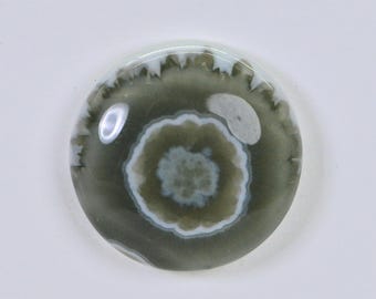Ocean Jasper  Cabochon  Round Smooth 16mm Natural Gemstone Cabochon