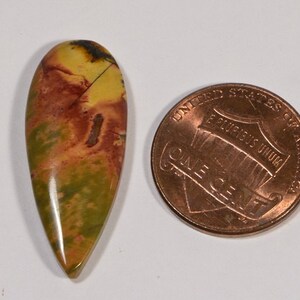 May include: A teardrop-shaped gemstone with a mix of yellow, green, and red hues. The polished stone is next to a one-cent coin for size comparison. The stone's colors and patterns create a unique, natural appearance.