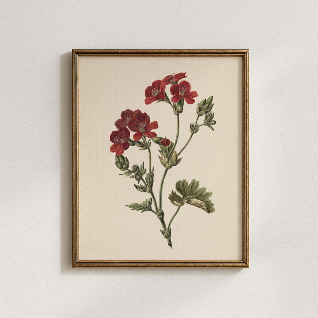 Red Flower Vintage Art Print, Botanical Wall Decor, Unframed 8x10 - Etsy